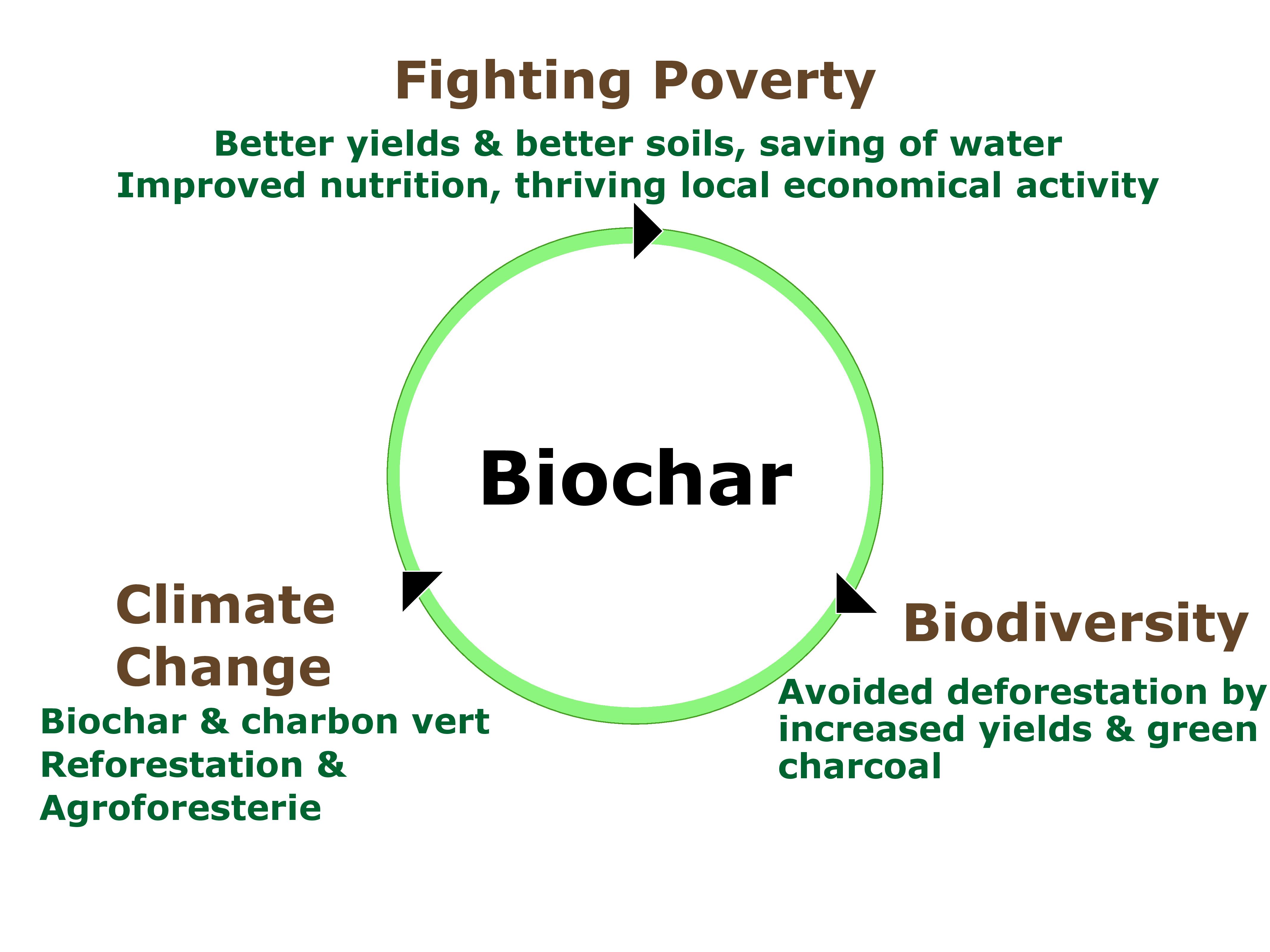 Biochar | Pro-Natura International